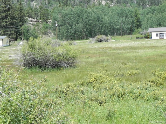 6 Kiva Path, Lake George, CO 80827 - photo 5