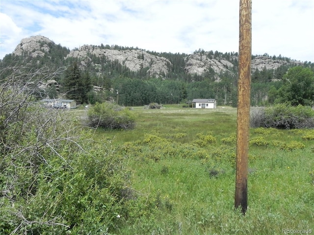 6 Kiva Path, Lake George, CO 80827 - photo 6