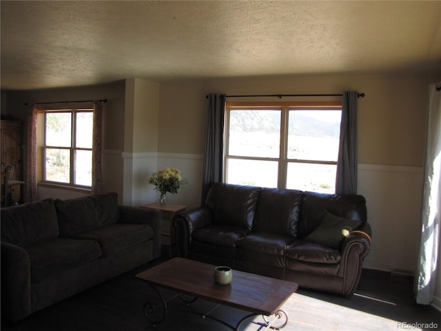 living room featuring a textured ceiling