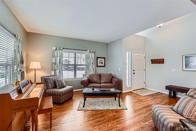 living room featuring light hardwood / wood-style floors