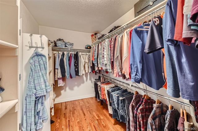 spacious closet with hardwood / wood-style flooring