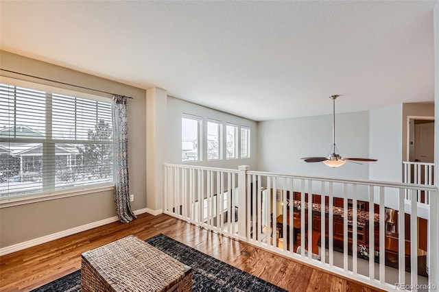 hallway with hardwood / wood-style floors and plenty of natural light