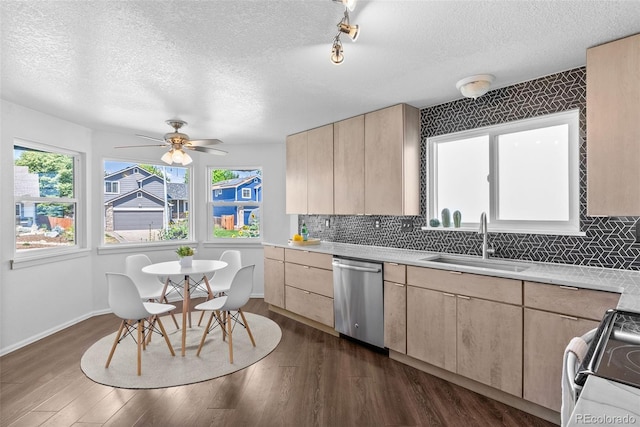 13138 Umatilla St, Denver, CO 80234 - photo 16