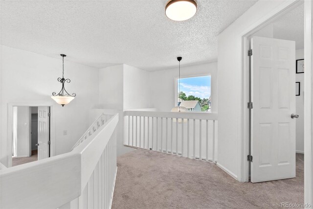13138 Umatilla St, Denver, CO 80234 - photo 19