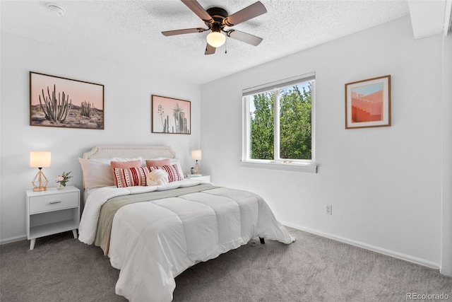 13138 Umatilla St, Denver, CO 80234 - photo 24