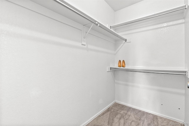 13138 Umatilla St, Denver, CO 80234 - photo 28