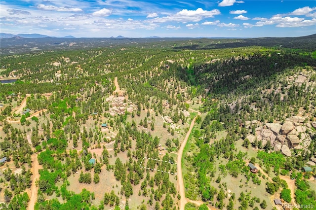 648 Pinon Ln, Florissant CO, 80816 land for sale