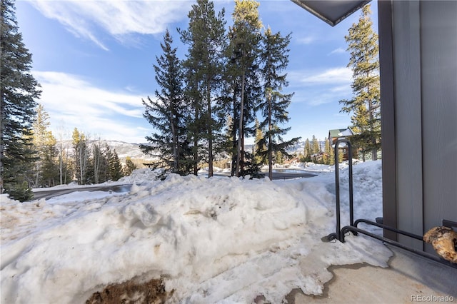 view of yard covered in snow