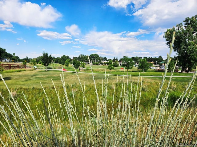 6314 Brooks Dr, Arvada, CO 80004 - view of yard