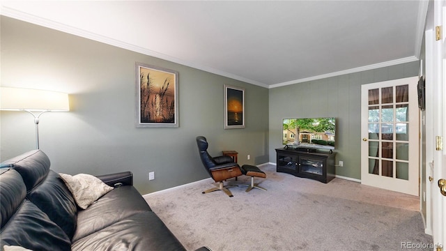 office space with carpet and crown molding