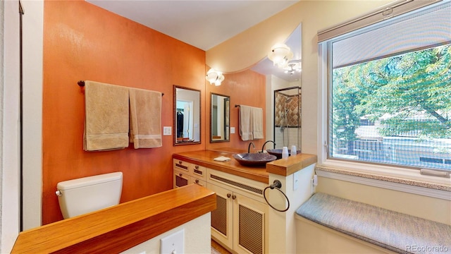 bathroom featuring toilet and vanity