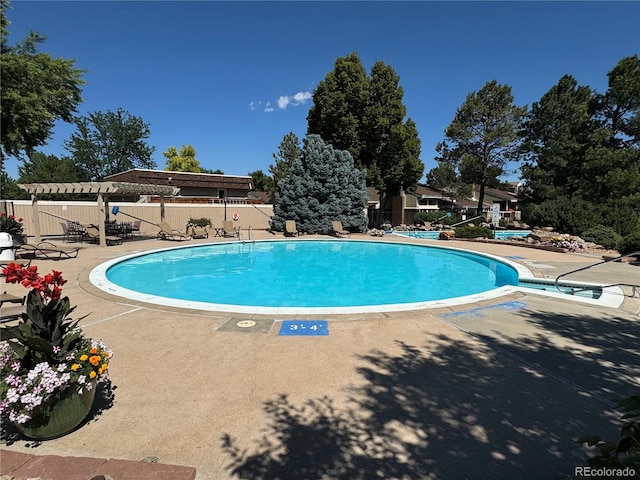 view of swimming pool with a patio area