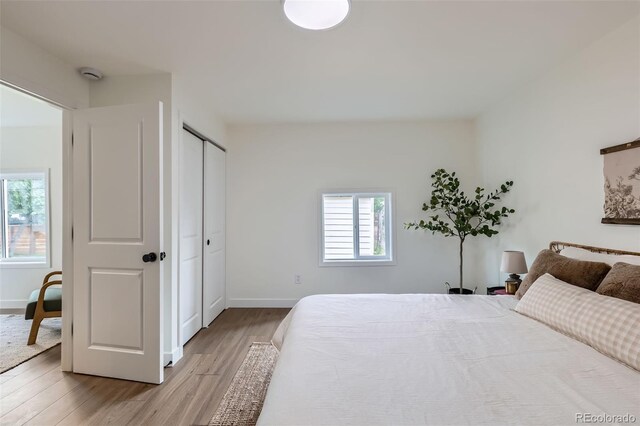 5147 Saint Paul St, Denver, CO 80216 - photo 21