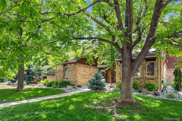 10886 E Crestline Cir, Englewood, CO 80111 - obstructed view of property featuring brick siding and a front lawn