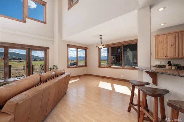 living room with light hardwood / wood-style floors, a towering ceiling, and a mountain view