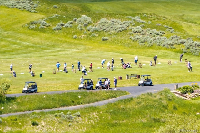 view of community with a lawn