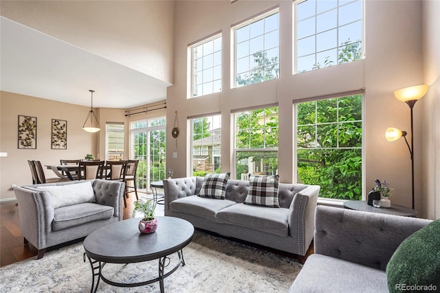 3000 E 112th Ave Unit 86, Northglenn, CO 80233 - living room with a high ceiling and wood finished floors