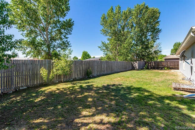 view of yard