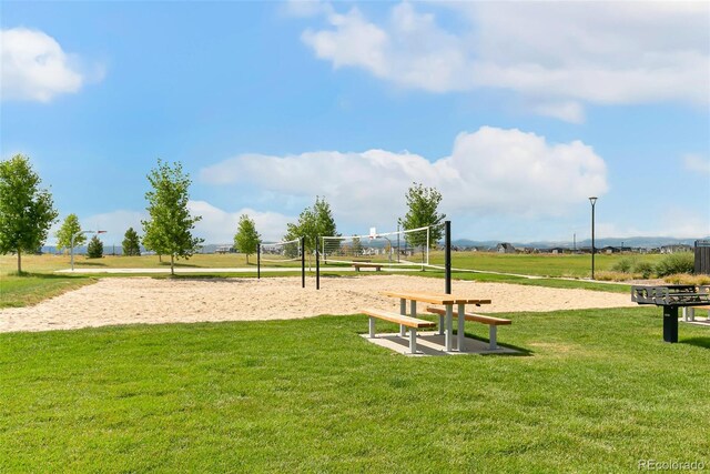 5880 Beeler Ct, Denver, CO 80238 - view of community featuring volleyball court and a lawn