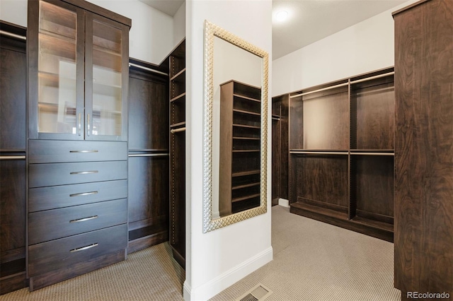 27381 E Lakeview Dr, Aurora, CO 80016 - walk in closet with carpet