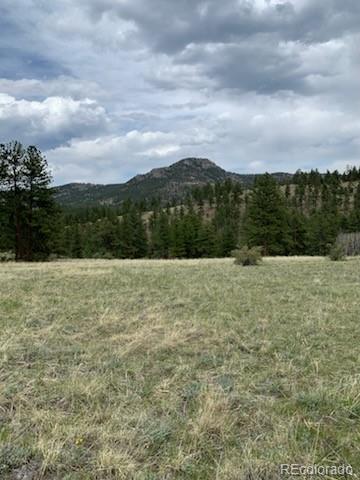 305 Happy Top Trl, Bailey, CO 80421 - photo 3