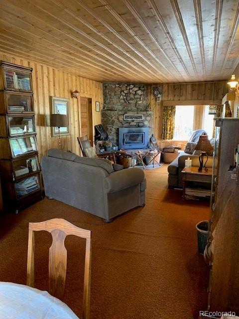 305 Happy Top Trl, Bailey, CO 80421 - photo 6