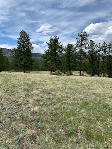 305 Happy Top Trl, Bailey, CO 80421 - photo 20