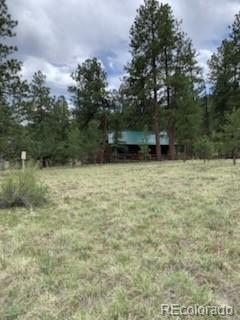 305 Happy Top Trl, Bailey, CO 80421 - photo 21