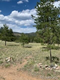 305 Happy Top Trl, Bailey, CO 80421 - photo 22