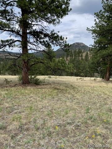 305 Happy Top Trl, Bailey, CO 80421 - photo 23