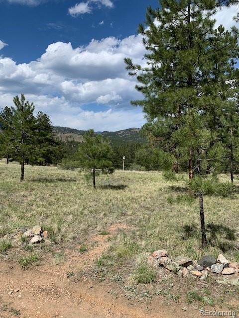 305 Happy Top Trl, Bailey, CO 80421 - photo 24