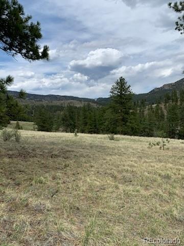 305 Happy Top Trl, Bailey, CO 80421 - photo 25