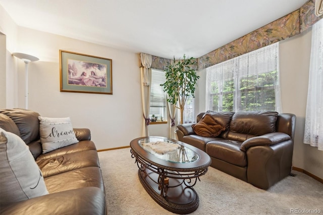 5134 S Ouray Ct, Centennial, CO 80015 - living room featuring carpet and baseboards