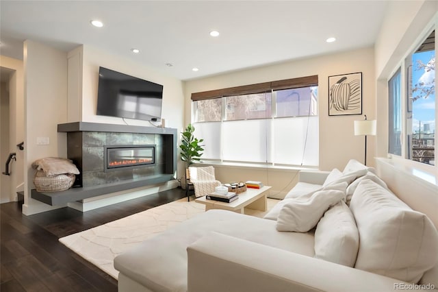 living room featuring dark hardwood / wood-style flooring and a fireplace