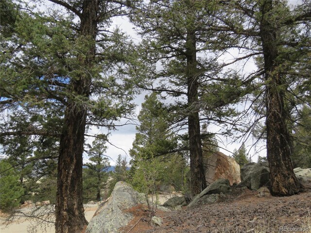 2120 Bonell Dr, Fairplay, CO 80440 - photo 1