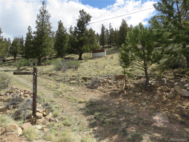 2120 Bonell Dr, Fairplay, CO 80440 - photo 2