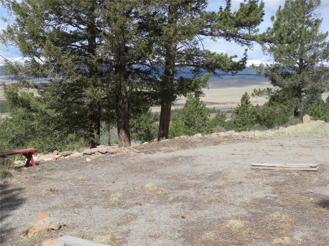 2120 Bonell Dr, Fairplay, CO 80440 - photo 4