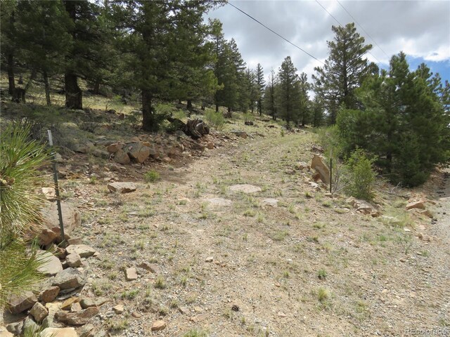 2120 Bonell Dr, Fairplay, CO 80440 - photo 5