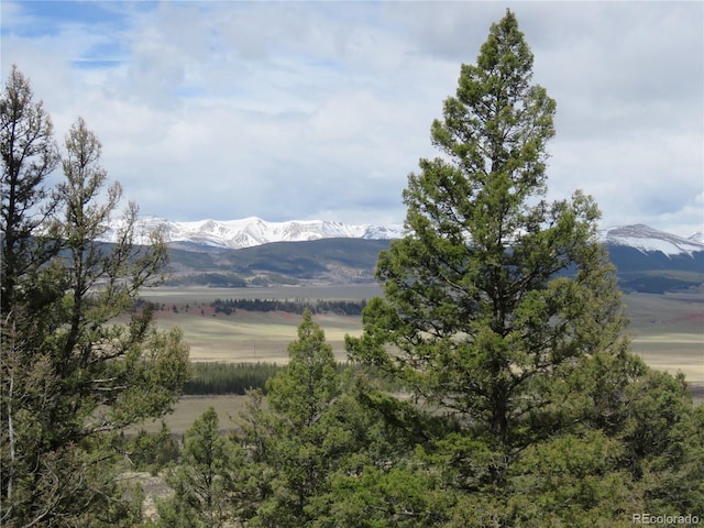 2120 Bonell Dr, Fairplay, CO 80440 - photo 9
