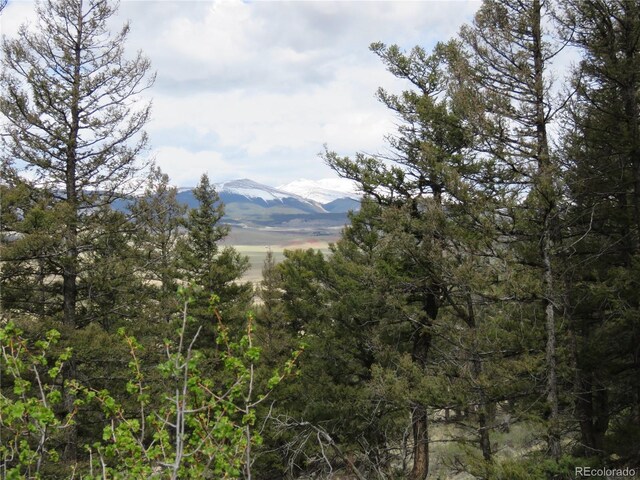 2120 Bonell Dr, Fairplay, CO 80440 - photo 17