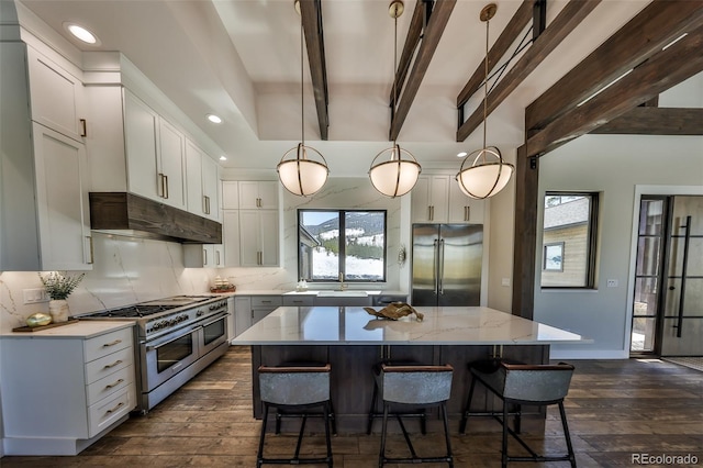 kitchen featuring premium appliances, under cabinet range hood, dark wood-style floors, tasteful backsplash, and recessed lighting