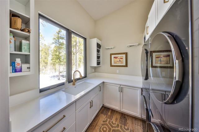 washroom with cabinet space and dark wood-style floors