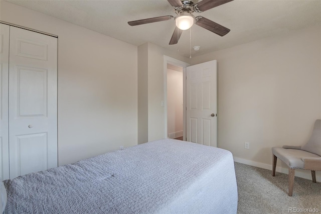 1775 Bonita Dr, Fountain, CO 80817 - photo 17