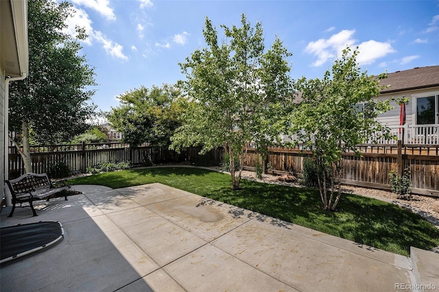 3406 Quicksilver Rd, Frederick, CO 80516 - fenced backyard featuring a patio area