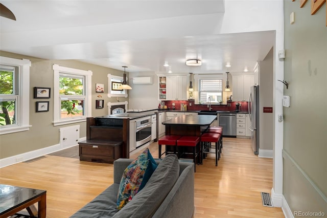 1121 S Williams St, Denver, CO 80210 - living room featuring healthy amount of natural light and light wood-type flooring