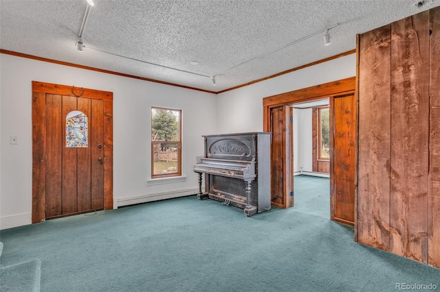 entryway with a textured ceiling, carpet floors, a baseboard radiator, and a wealth of natural light