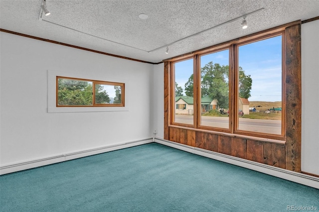 unfurnished room with a textured ceiling, carpet flooring, and a healthy amount of sunlight