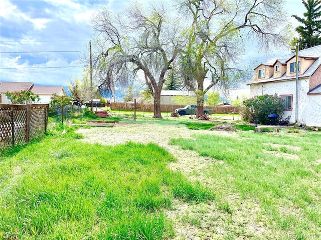 941 French St, Silver Cliff, CO 81252 - view of yard