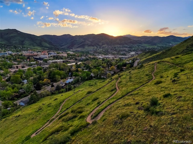 409 Lookout View Dr, Golden, CO 80401 - photo 32
