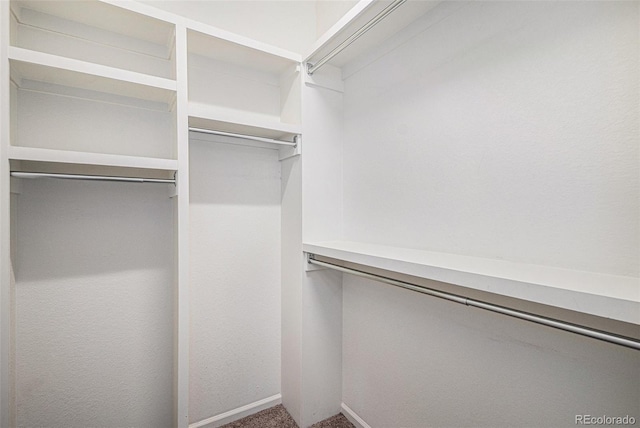 5048 N Andes St, Denver, CO 80249 - walk in closet with carpet flooring